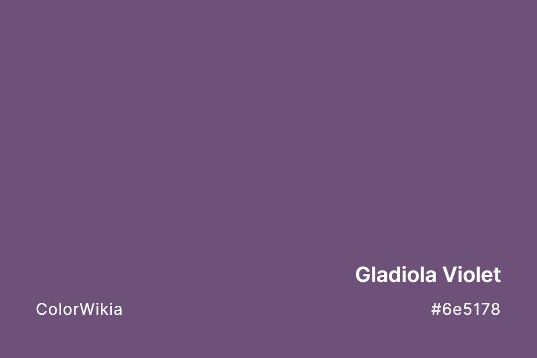 gladiola violet color 6e5178