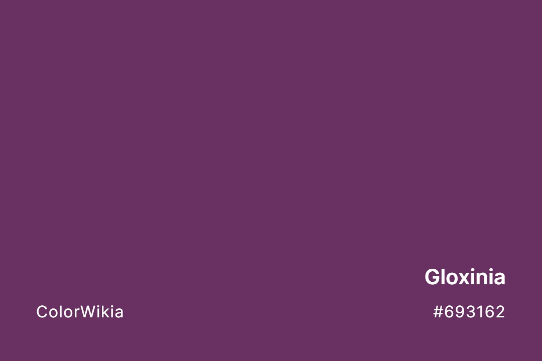 Gloxinia Color – #693162: Codes and Complete Breakdown