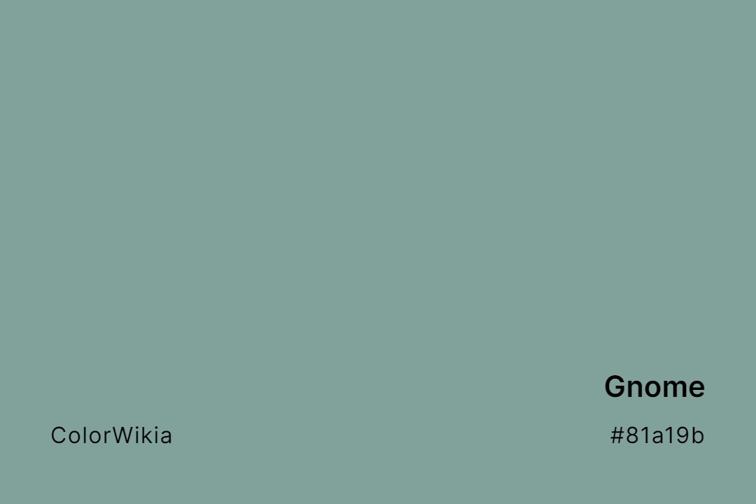 Gnome Color – #81a19b: Codes and Complete Breakdown