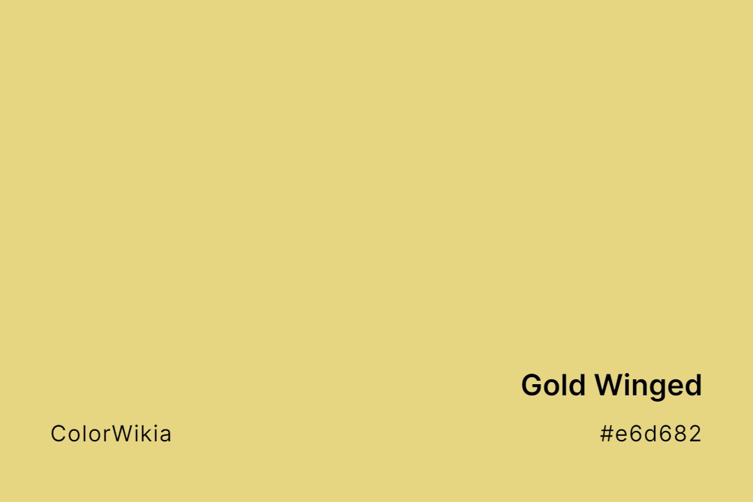 Gold Winged Color – #e6d682: Codes and Complete Breakdown