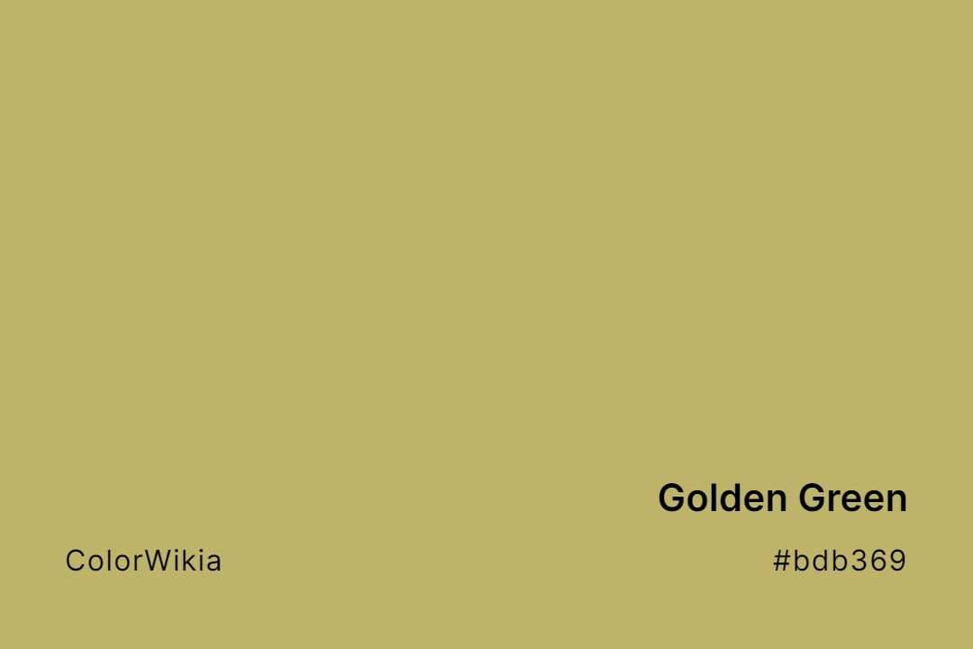 Golden Green Color – #bdb369: Codes and Complete Breakdown