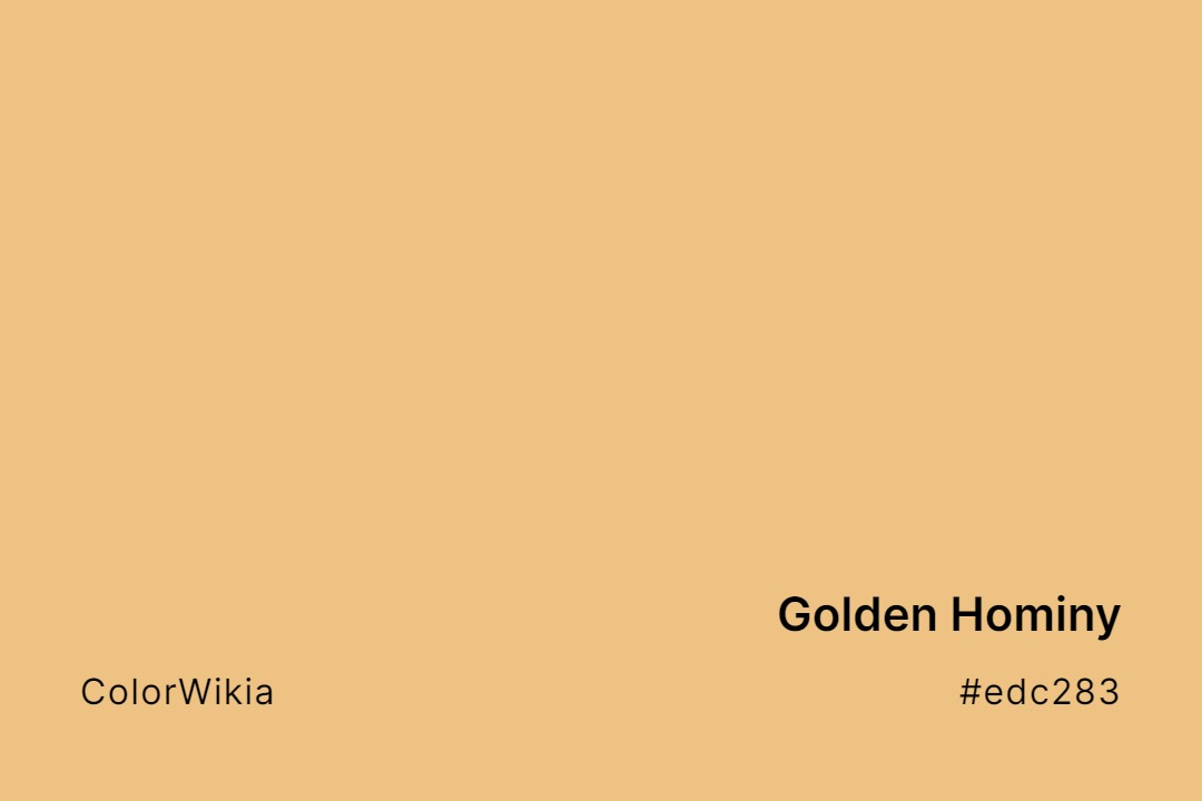 Golden Hominy Color – #edc283: Codes and Complete Breakdown
