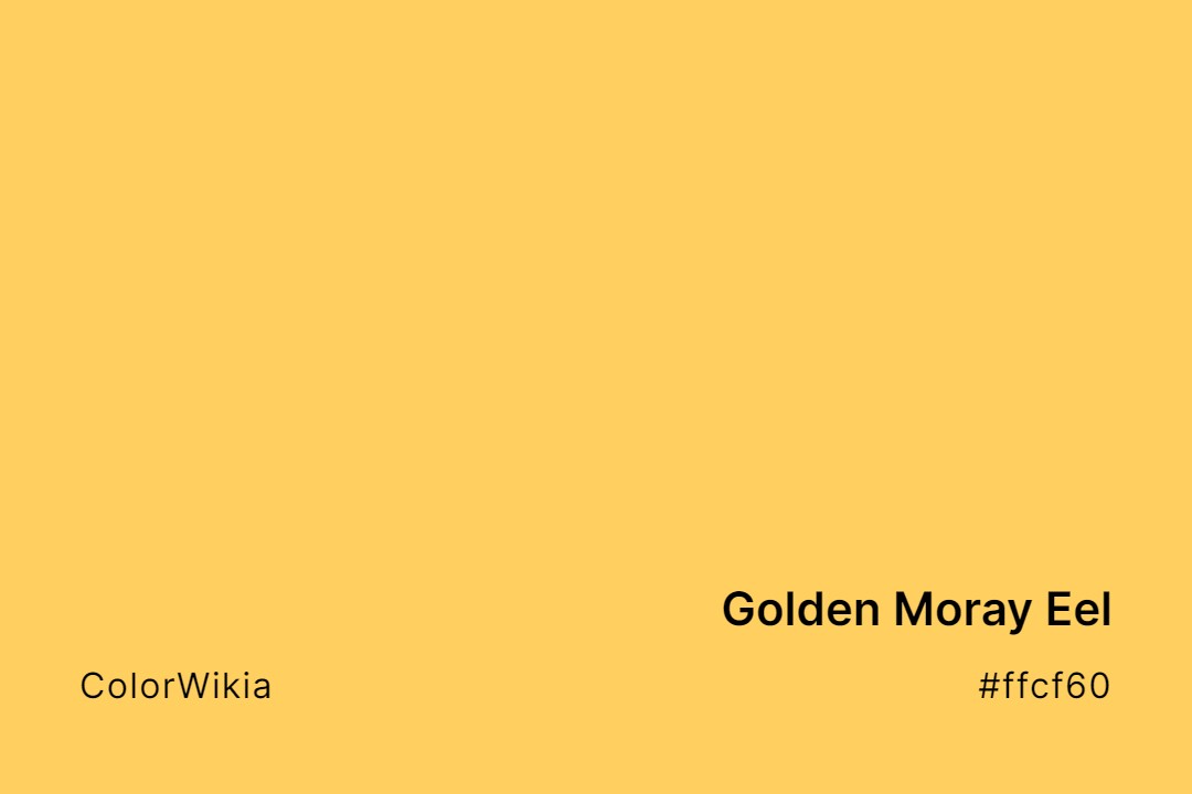 golden moray eel color ffcf60