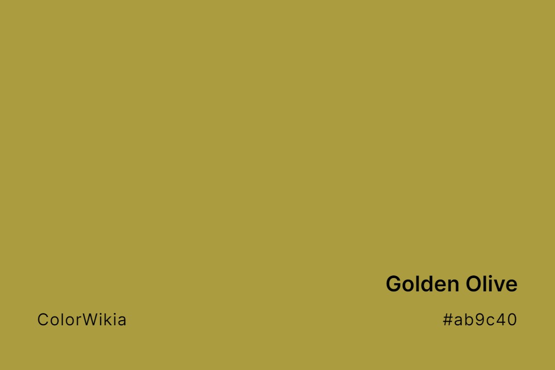 Golden Olive Color – #ab9c40: Codes and Complete Breakdown