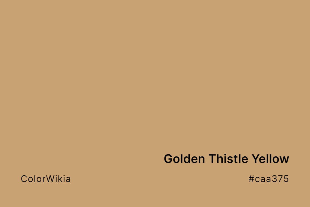 Golden Thistle Yellow Color – #caa375: Codes and Complete Breakdown