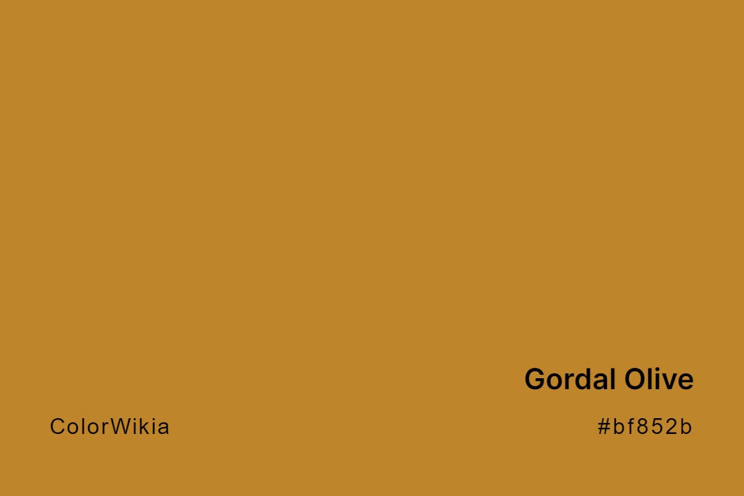 gordal olive color bf852b