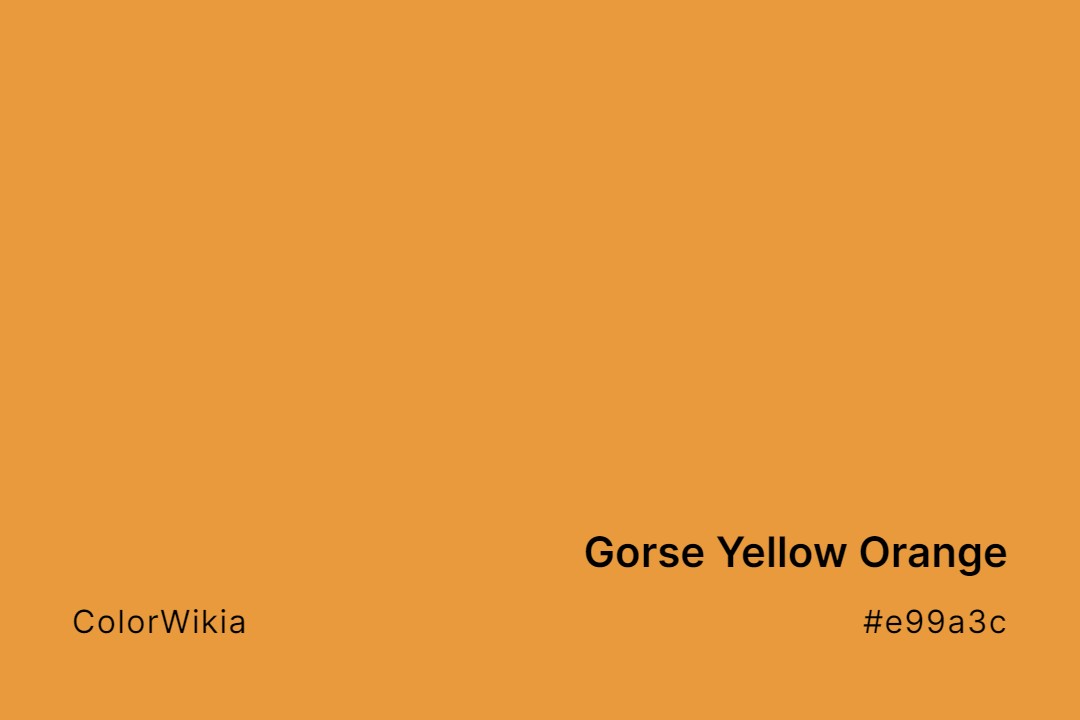 Gorse Yellow Orange Color – #e99a3c: Codes and Complete Breakdown