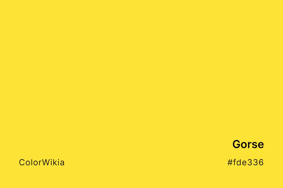 Gorse Color – #fde336: Codes and Complete Breakdown