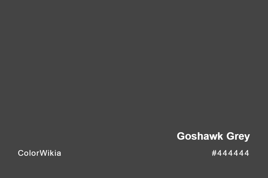Goshawk Grey Color – #444444: Codes and Complete Breakdown