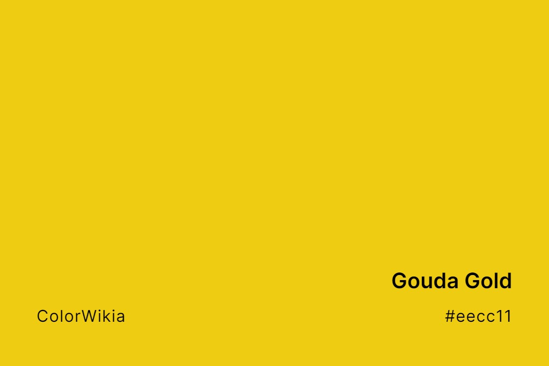 Gouda Gold Color – #eecc11: Codes and Complete Breakdown