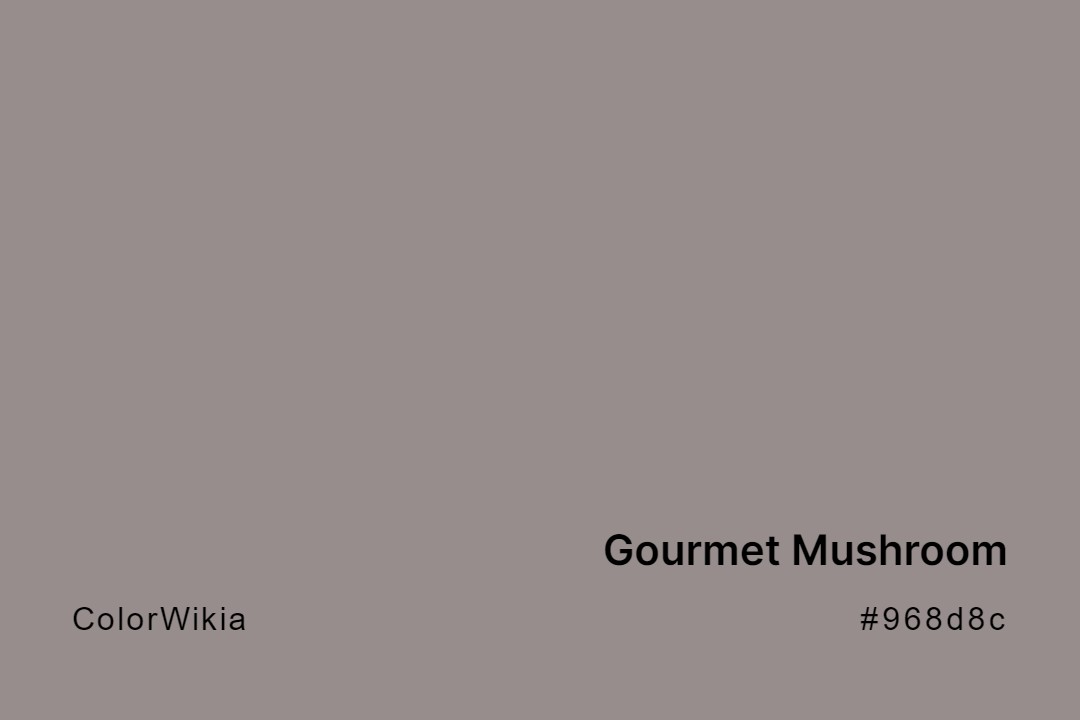 Gourmet Mushroom Color – #968d8c: Codes and Complete Breakdown