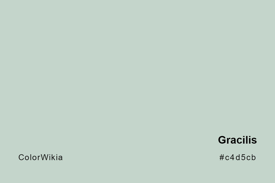 Gracilis Color – #c4d5cb: Codes and Complete Breakdown