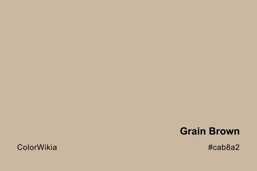 Grain Brown Color – #cab8a2: Codes and Complete Breakdown