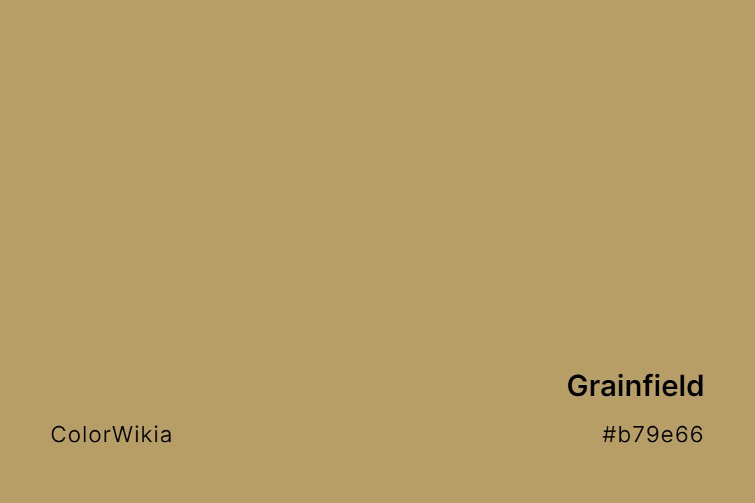 Grainfield Color – #b79e66: Codes and Complete Breakdown