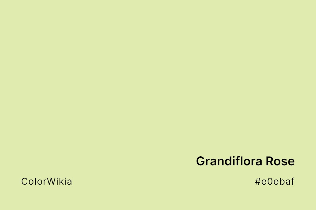 Grandiflora Rose Color – #e0ebaf: Codes and Complete Breakdown