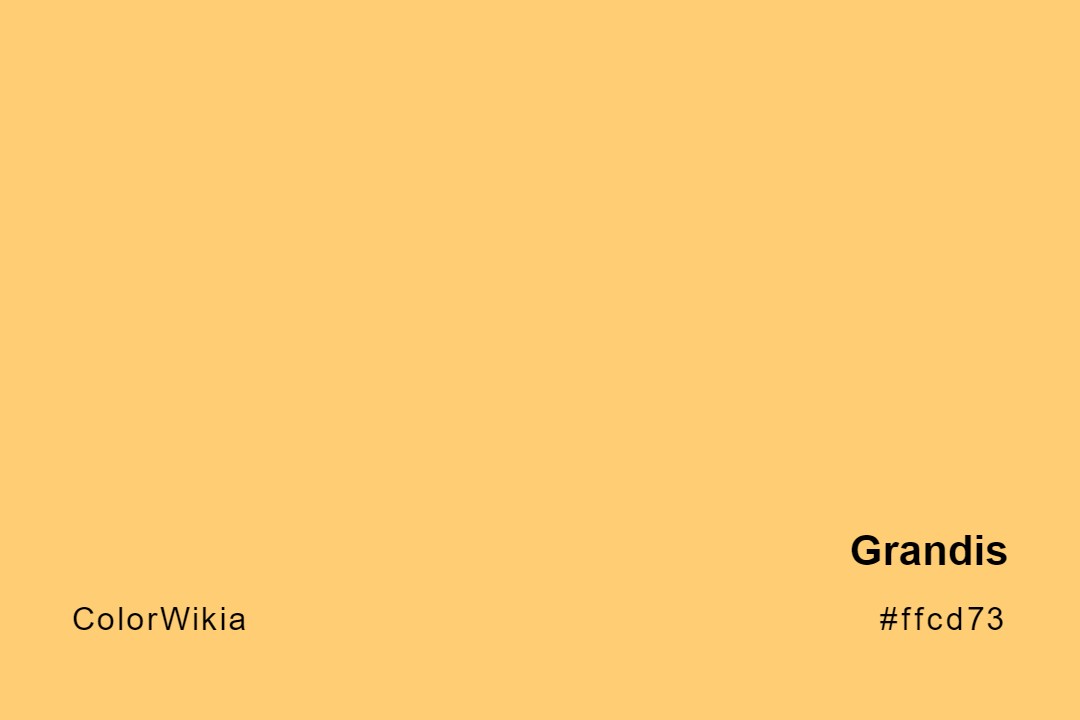 Grandis Color – #ffcd73: Codes and Complete Breakdown