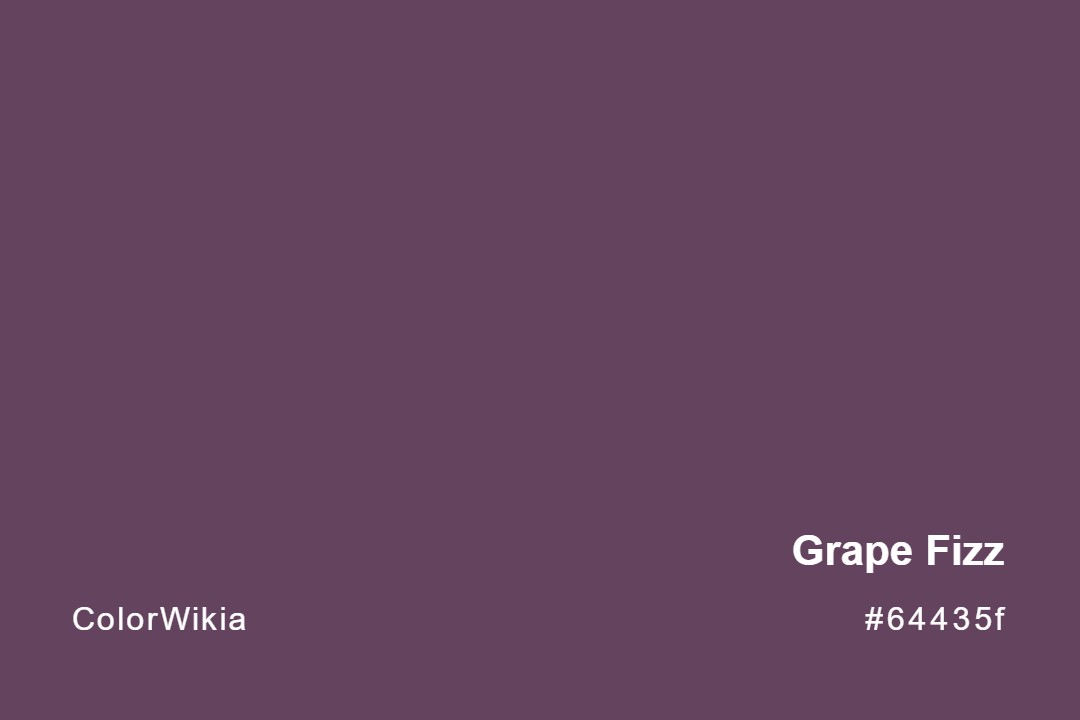 grape fizz color 64435f