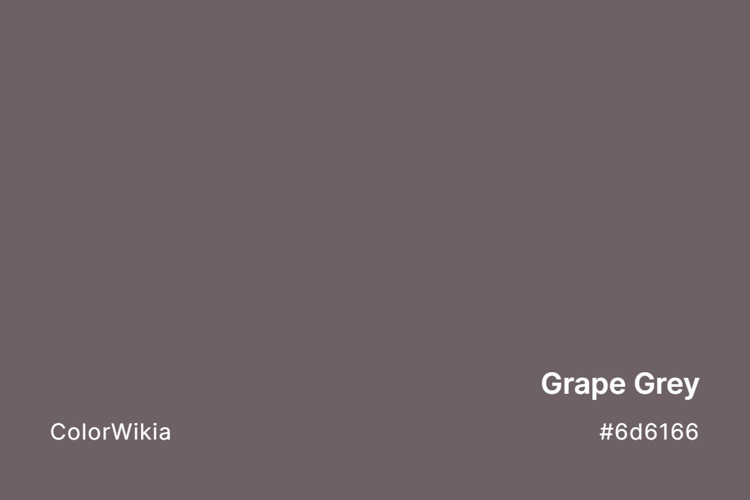 Grape Grey Color – #6d6166: Codes and Complete Breakdown