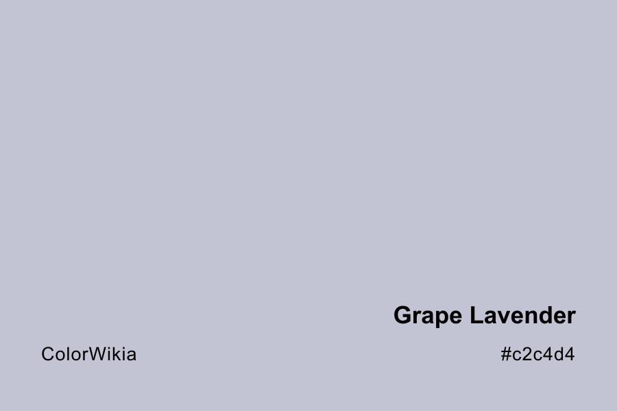 Grape Lavender Color – #c2c4d4: Codes and Complete Breakdown