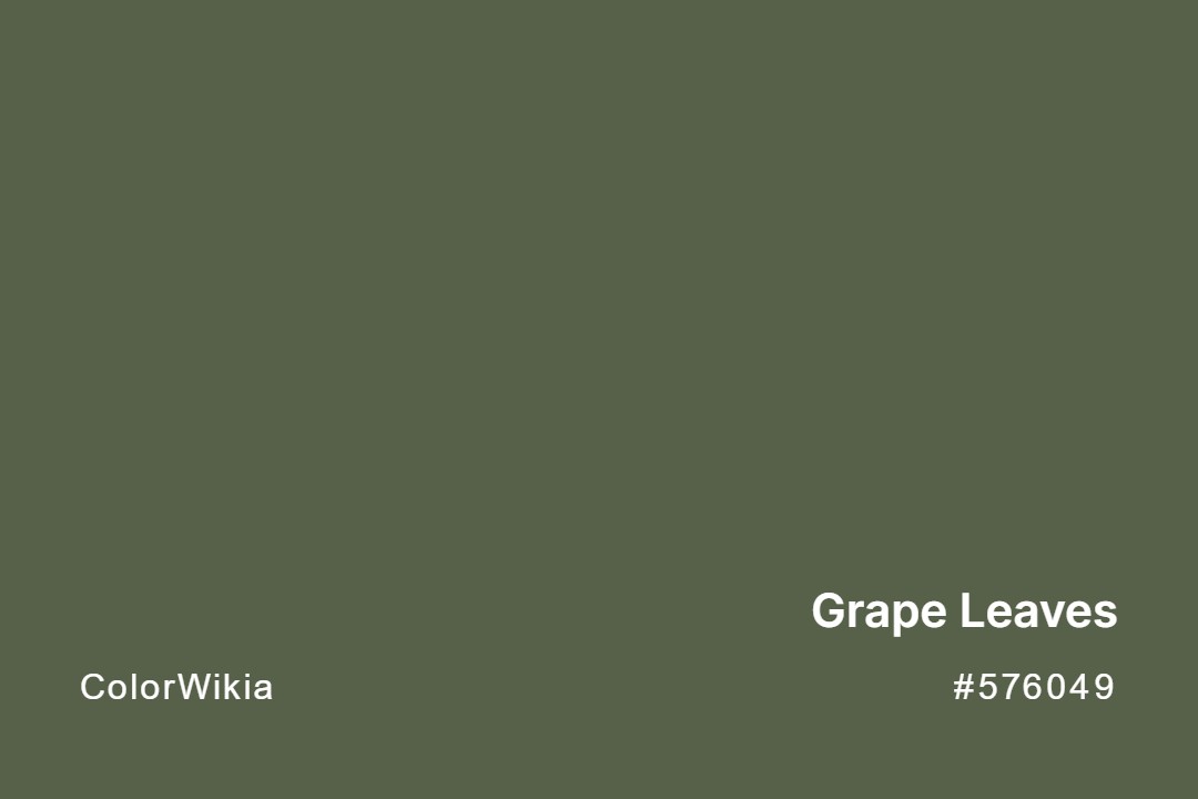 grape leaves color 576049