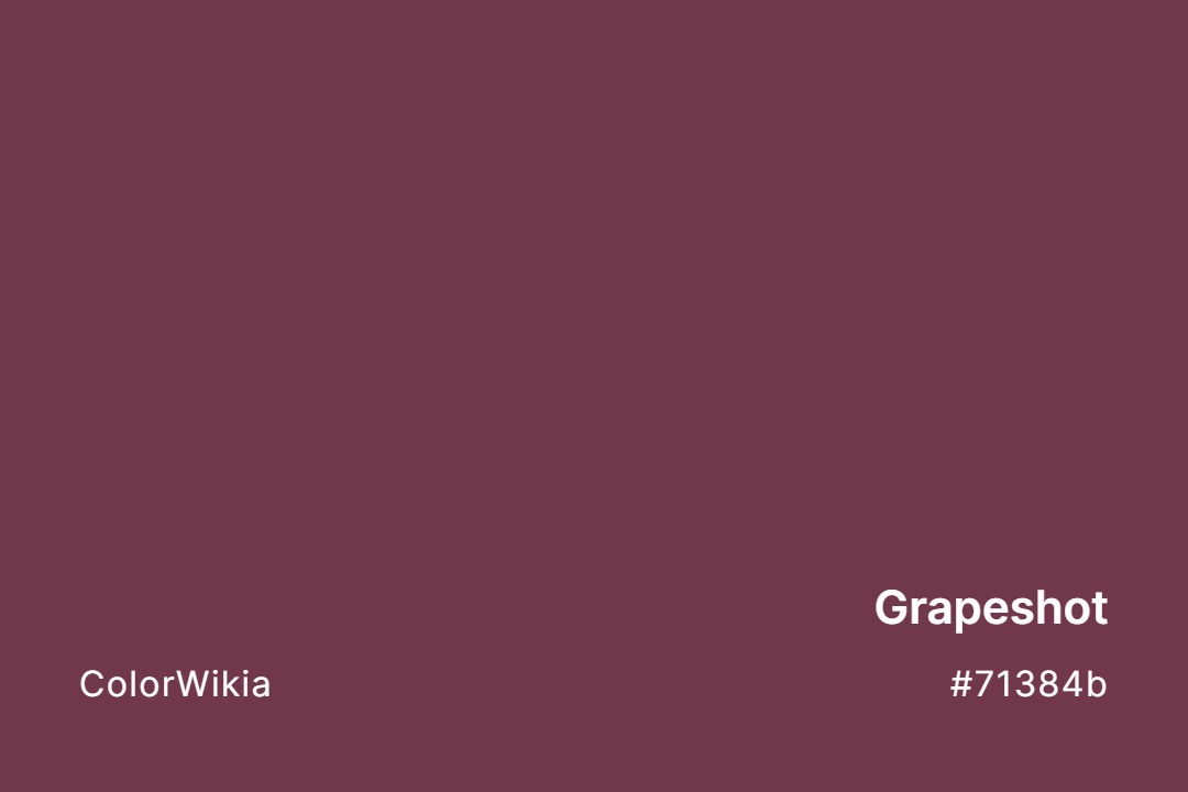 Grapeshot Color – #71384b: Codes and Complete Breakdown