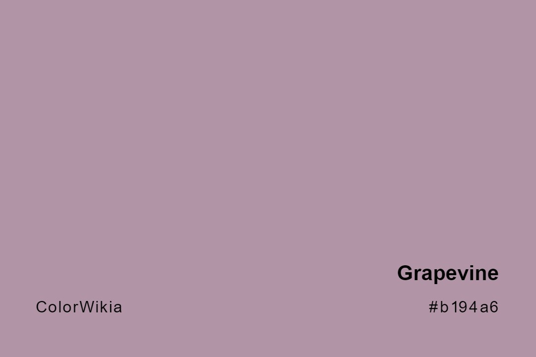 Grapevine Color – #b194a6: Codes and Complete Breakdown