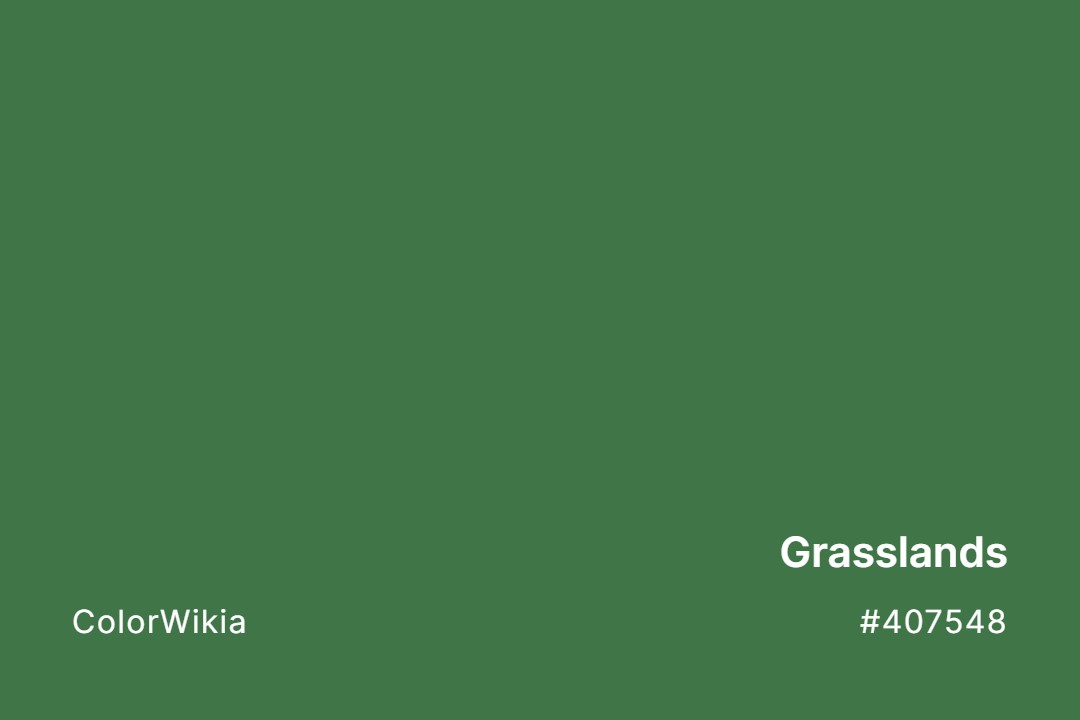 Grasslands Color – #407548: Codes and Complete Breakdown