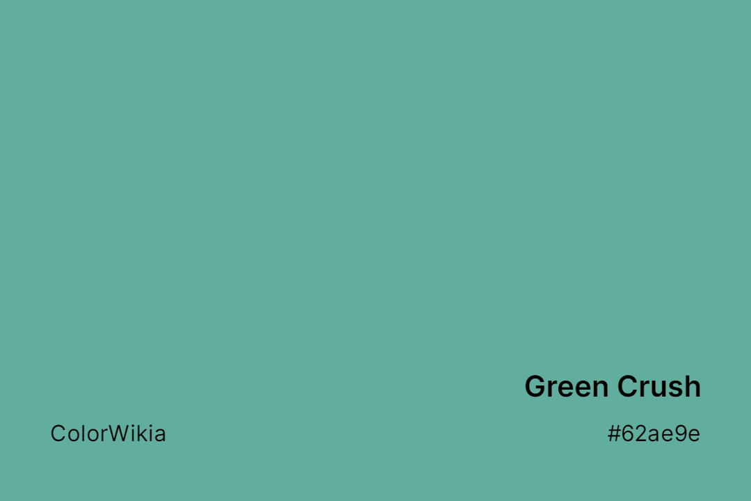 Green Crush Color – #62ae9e: Codes and Complete Breakdown