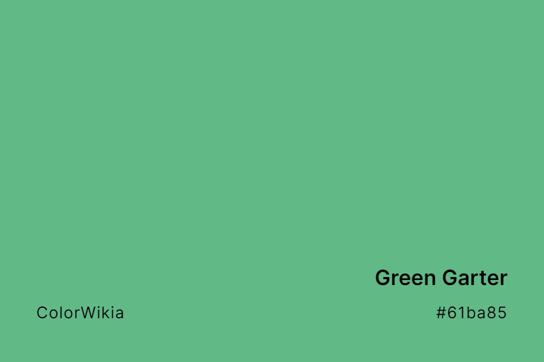 Green Garter Color – #61ba85: Codes and Complete Breakdown