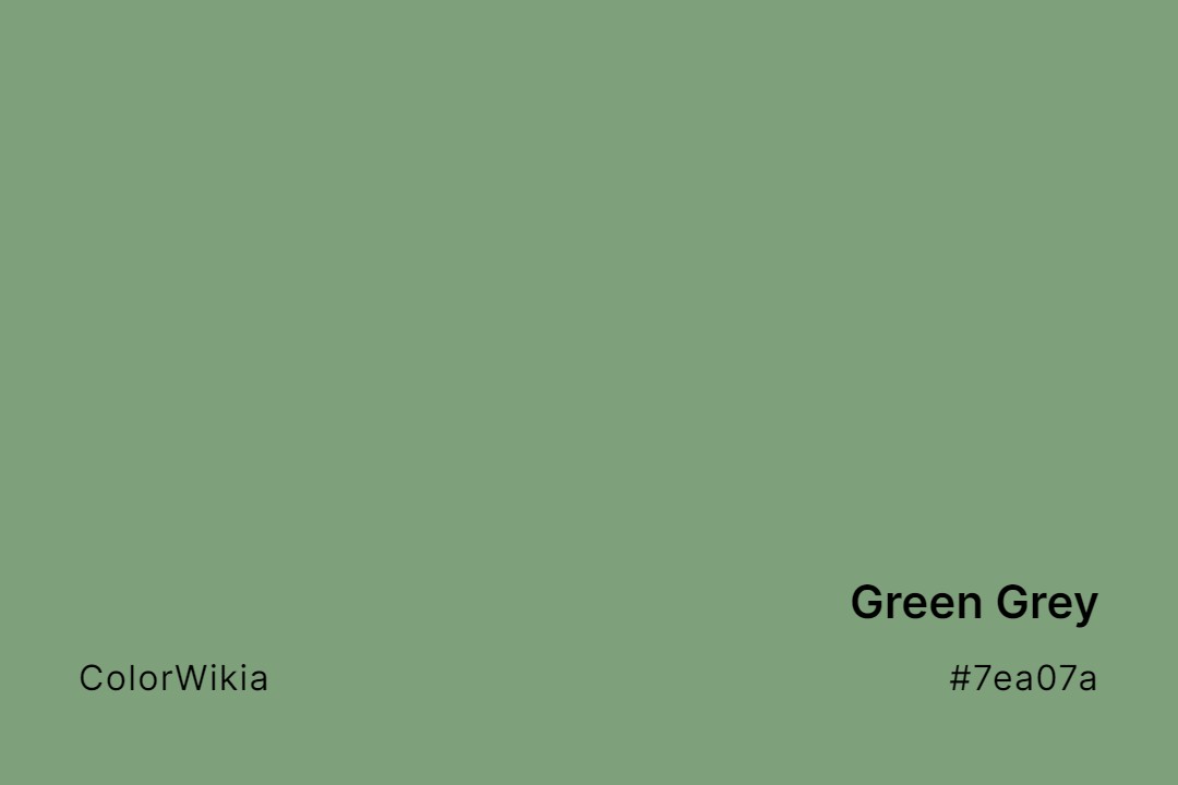 Green Grey Color – #7ea07a: Codes and Complete Breakdown