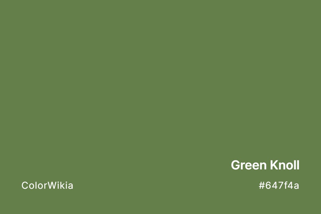 Green Knoll Color – #647f4a: Codes and Complete Breakdown
