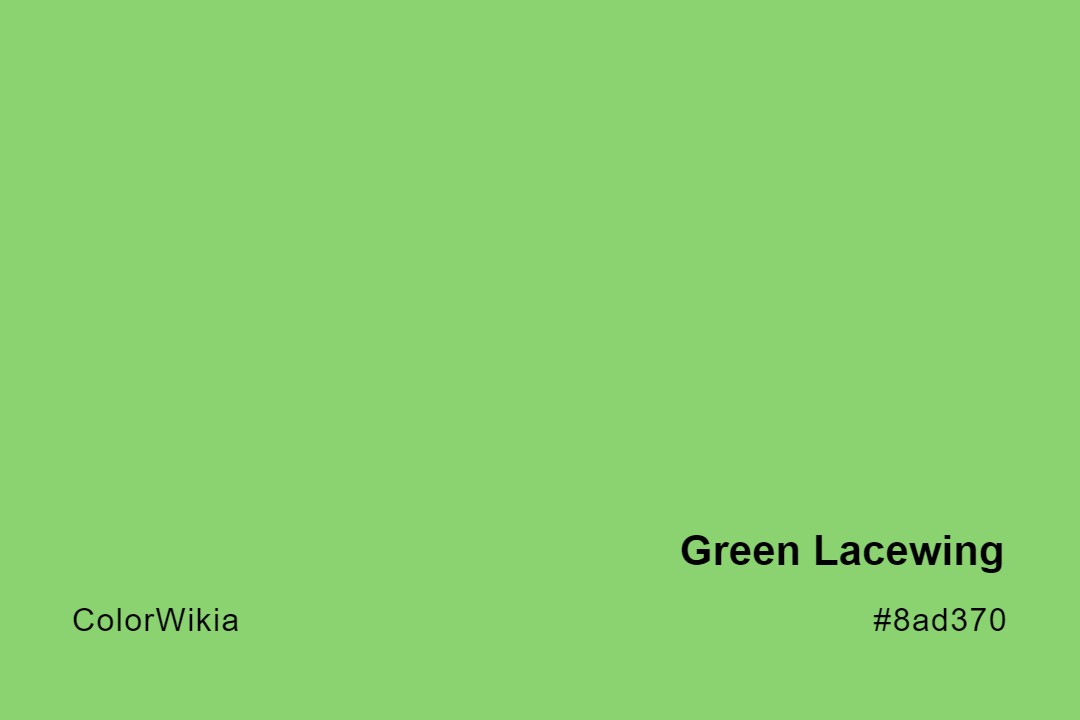 Green Lacewing Color – #8ad370: Codes and Complete Breakdown
