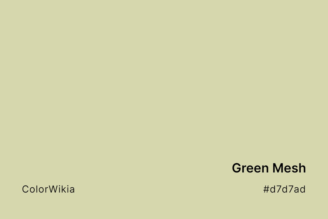 Green Mesh Color – #d7d7ad: Codes and Complete Breakdown