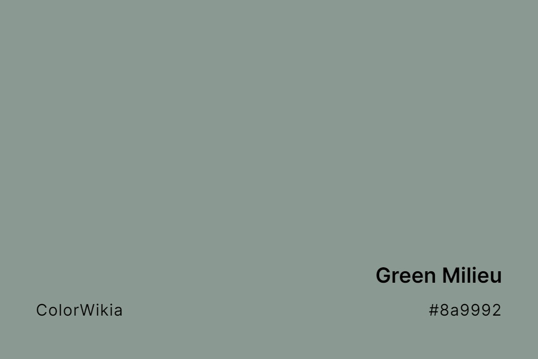 Green Milieu Color – #8a9992: Codes and Complete Breakdown