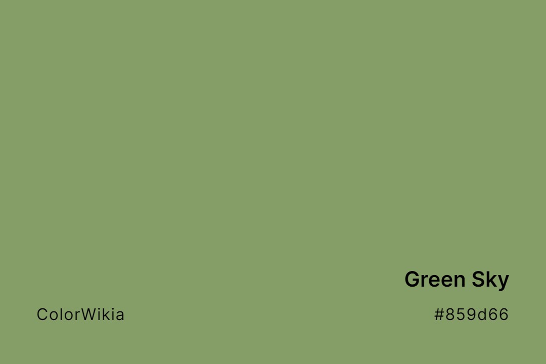 Green Sky Color – #859d66: Codes and Complete Breakdown