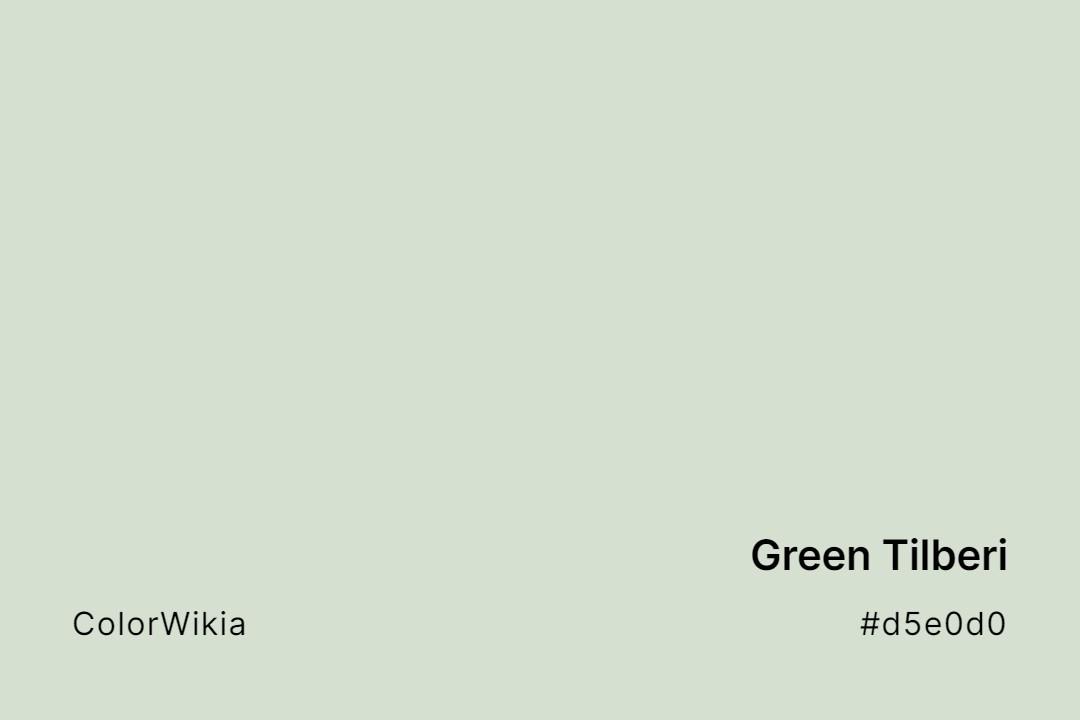Green Tilberi Color – #d5e0d0: Codes and Complete Breakdown