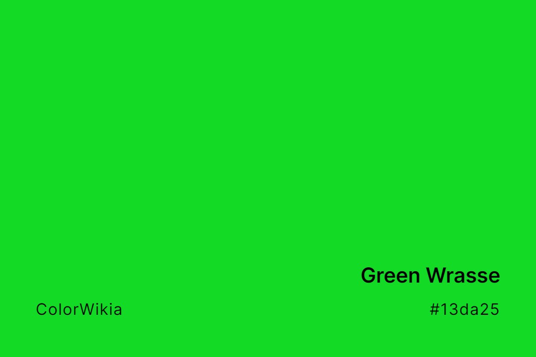 Green Wrasse Color – #13da25: Codes and Complete Breakdown