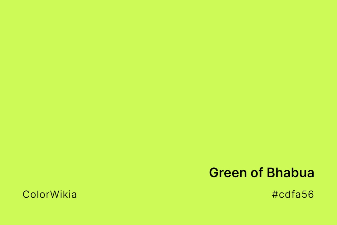 Green of Bhabua Color – #cdfa56: Codes and Complete Breakdown