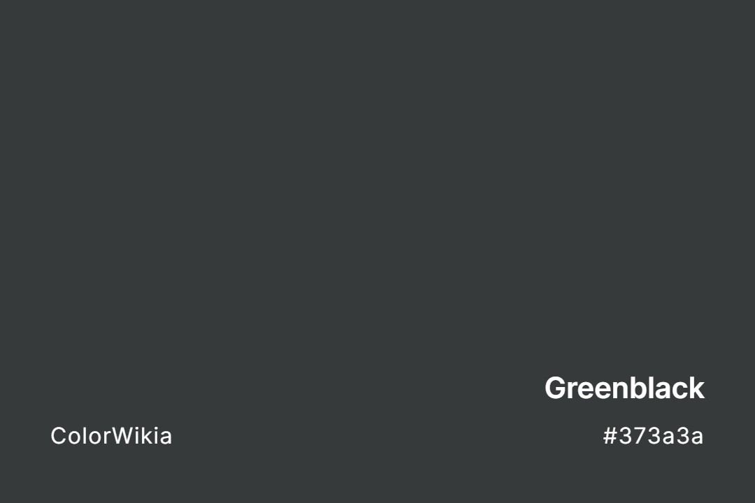 Greenblack Color – #373a3a: Codes and Complete Breakdown