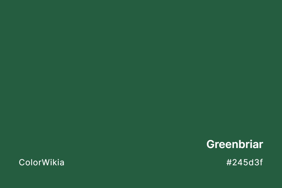 Greenbriar Color – #245d3f: Codes and Complete Breakdown