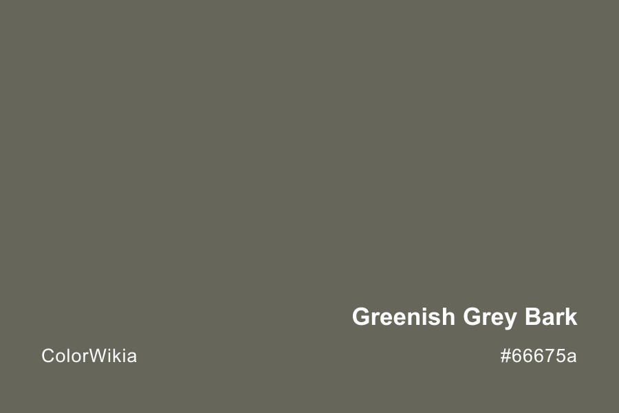 greenish grey bark color 66675a