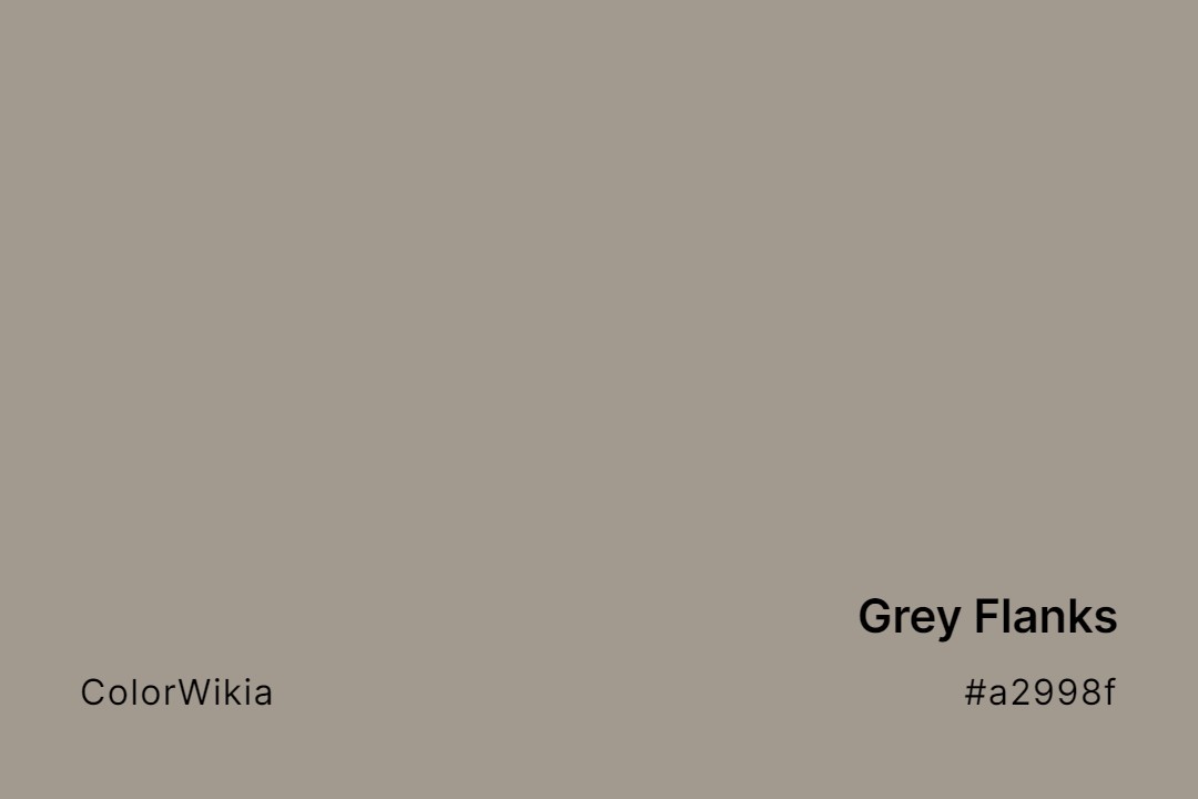 Grey Flanks Color – #a2998f: Codes and Complete Breakdown
