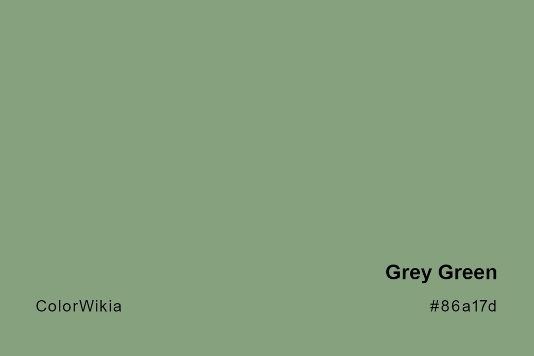 Grey Green Color – #86a17d: Codes and Complete Breakdown