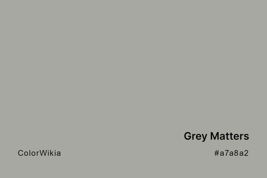 Grey Matters Color – #a7a8a2: Codes and Complete Breakdown