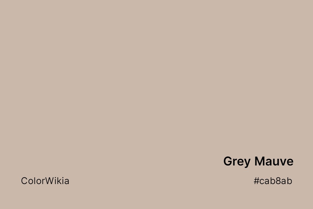 Grey Mauve Color – #cab8ab: Codes and Complete Breakdown