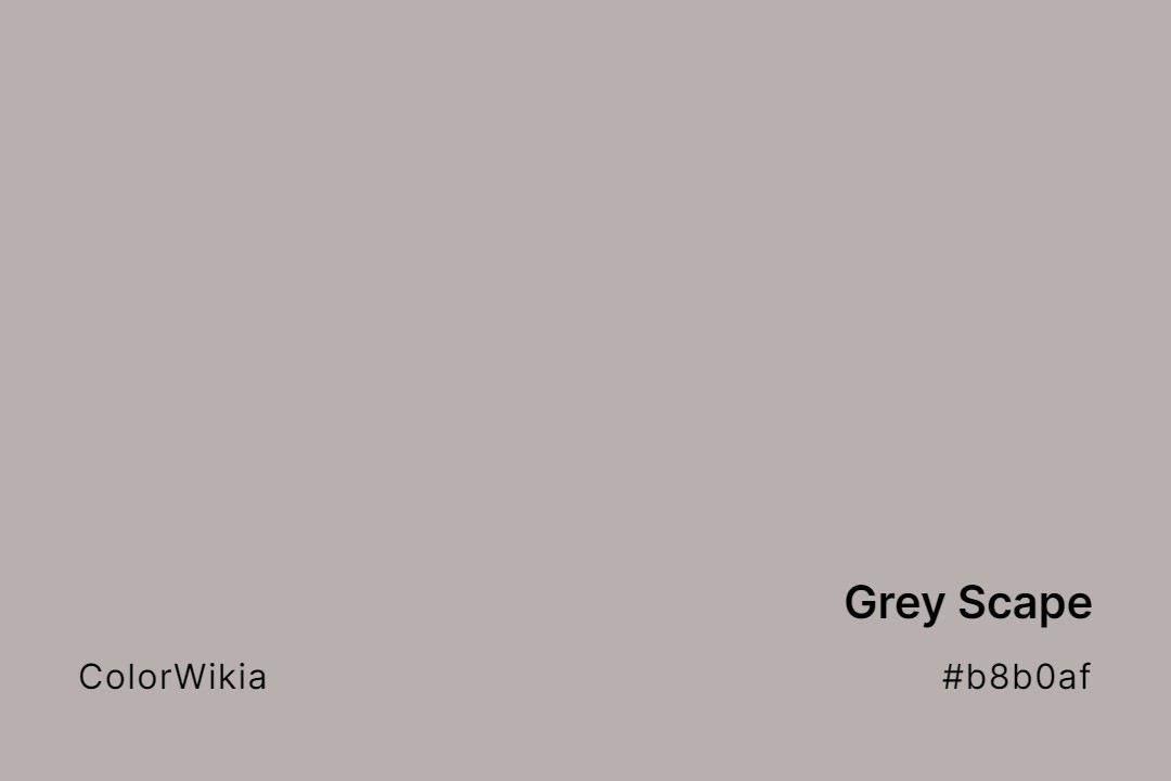 Grey Scape Color – #b8b0af: Codes and Complete Breakdown