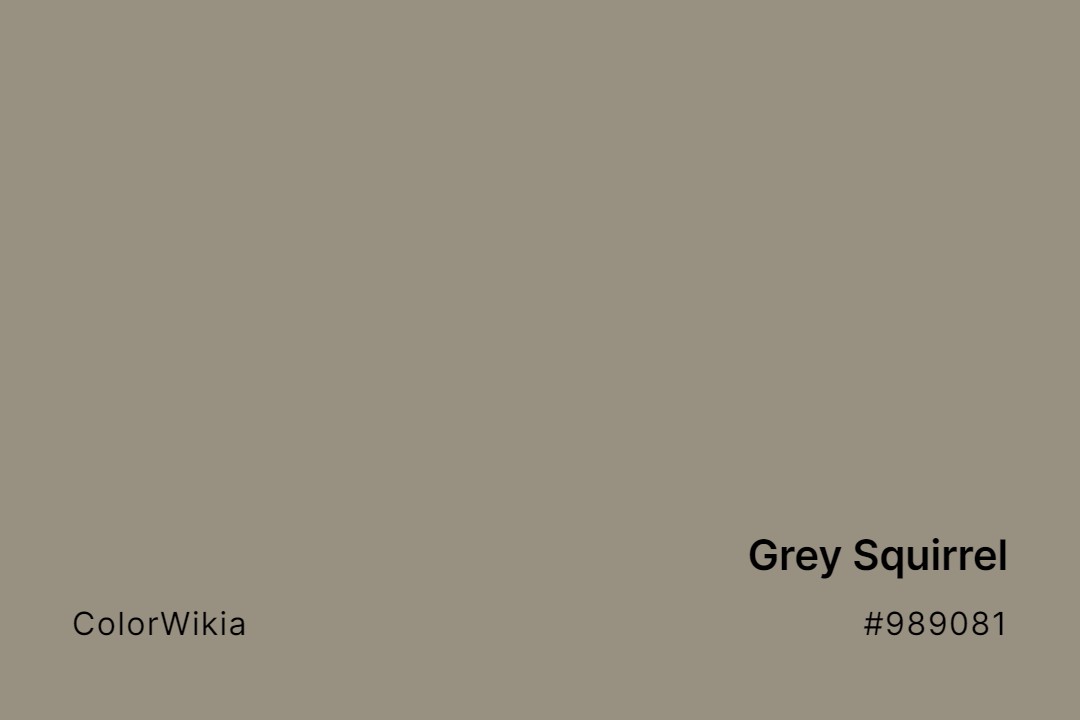 Grey Squirrel Color – #989081: Codes and Complete Breakdown