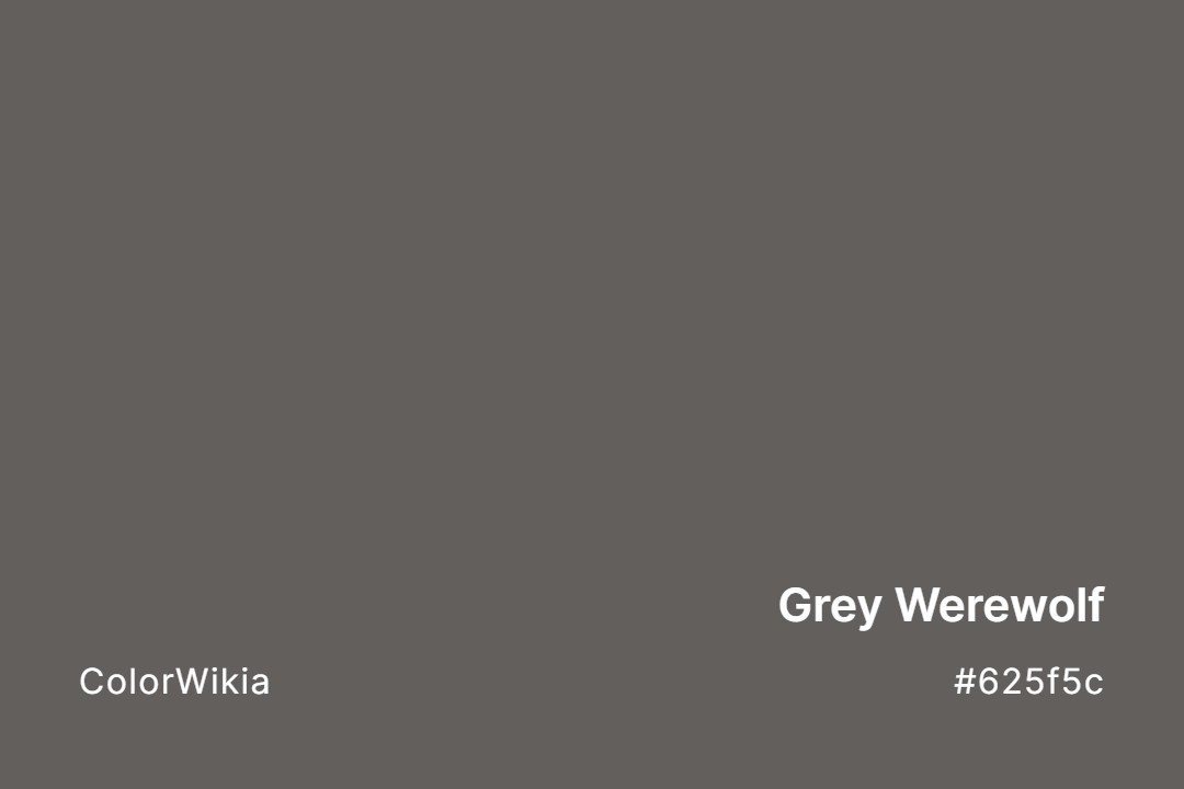 Grey Werewolf Color – #625f5c: Codes and Complete Breakdown