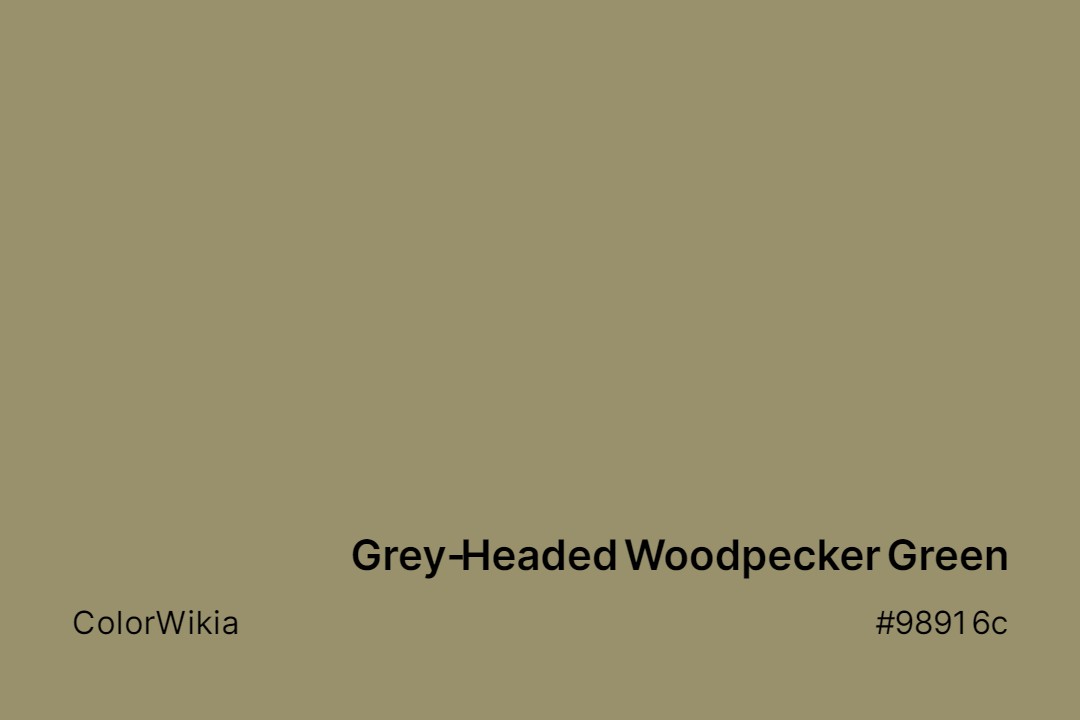 Grey-Headed Woodpecker Green Color – #98916c: Codes and Complete Breakdown