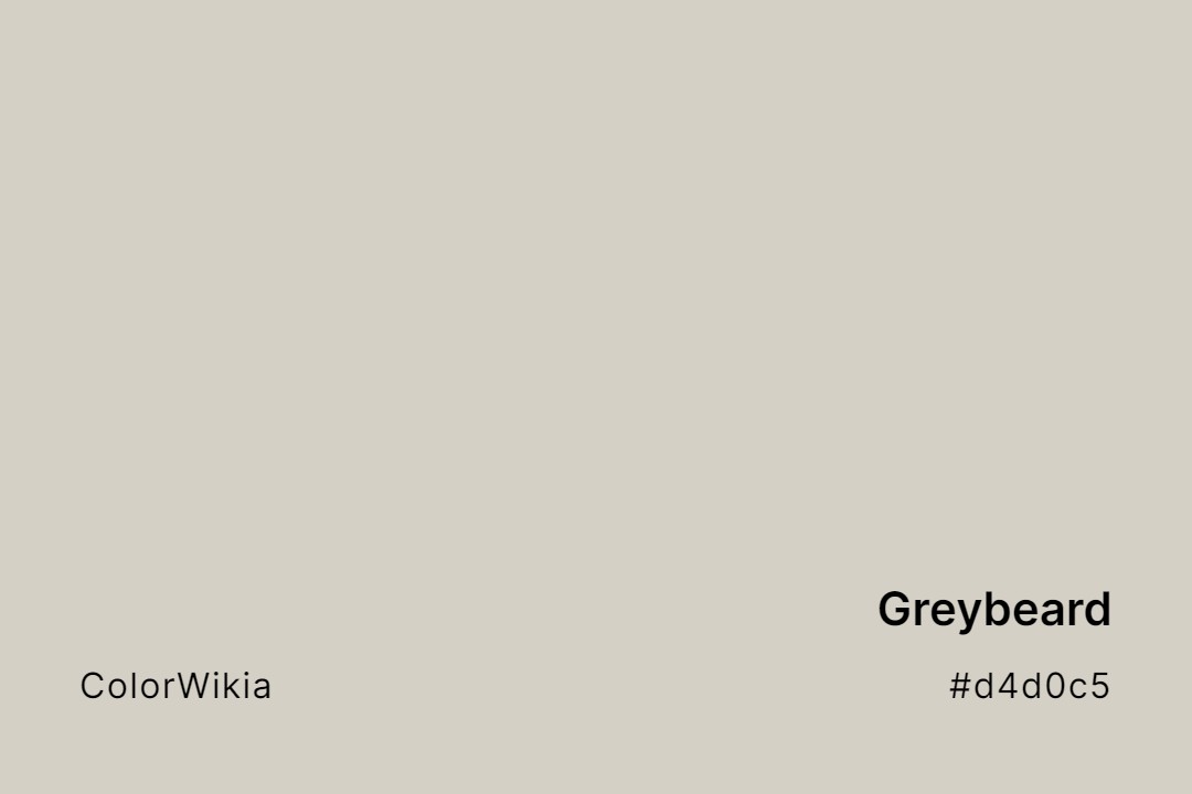 Greybeard Color – #d4d0c5: Codes and Complete Breakdown